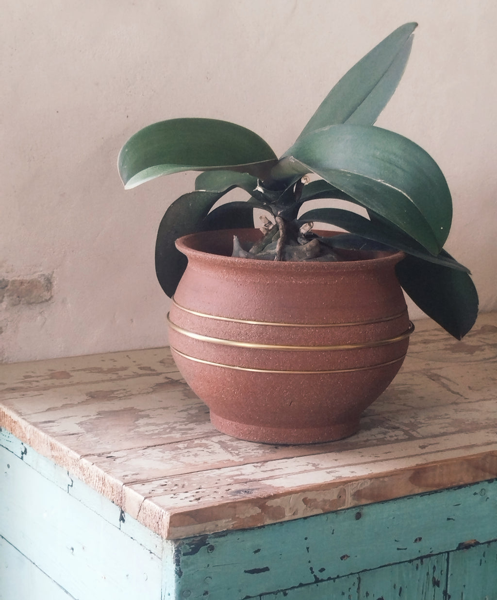 Pot RIN